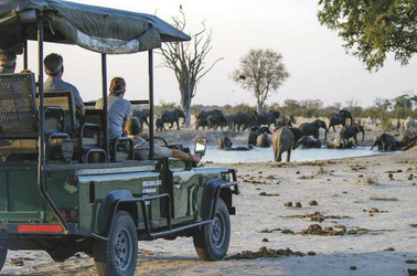 Auf Pirschfahrt im Hwange Nationalpark