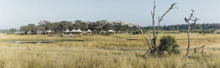 Blick auf das Somalisa Camp, ©African Bush Camps