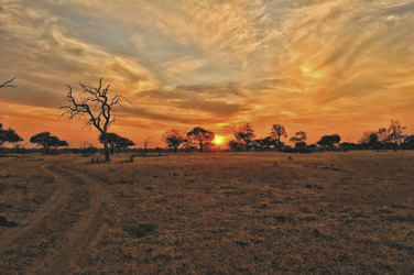 Sonnenuntergang im Hwange Nationalpark, ©African Bush Camps