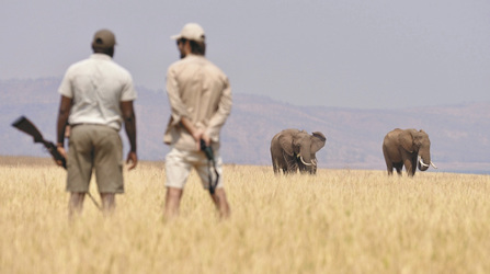 Buschwanderung am Lake Kariba, ©African Bush Camps