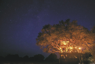 Dove's Nest Treehouse bei Nacht, ©The Hide