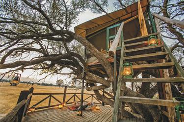 Dove's Nest Treehouse, ©The Hide